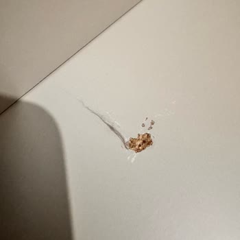 Yanlış Renk Koltuk Ve Hasarlı Yatak Odası Takımı, %30 İade Kesintisi Kabul Edilemez