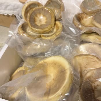 Simsiyah Enginar, Eksik Domates Püresi, Faturasız Kesintili İade Ve Saygısız Müşteri Hizmeti