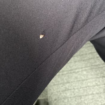 Anatolium Şubesinde Soğuk Tavır Ve Görülmeyen Yırtık