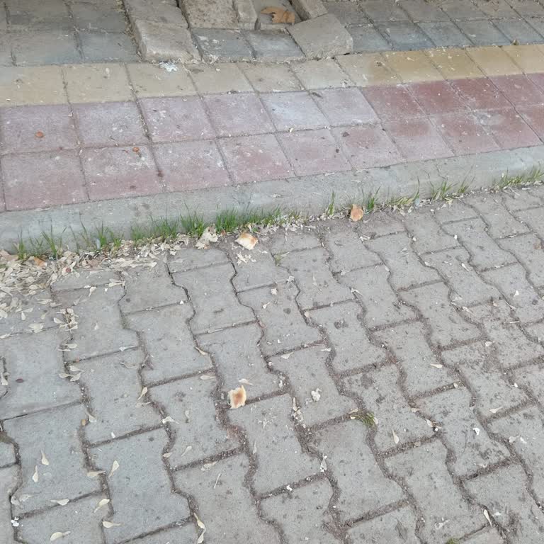 Ziraat Bankası ATM’inde Hatalı Telefon Numarası Nedeniyle TOKİ İadesi Yapılamıyor