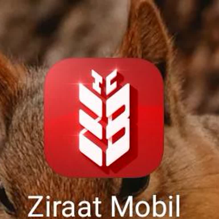 Ziraat Bankası Mobil Bankacılık Erişiminin 2,5 Aylık Kesintisi Ve Açıklama Talebi