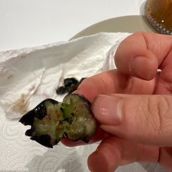 Acıbadem Şubesindeki Paketli Yaban Mersini Kalite Sorunu Ve İade Talebi