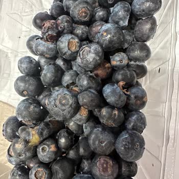 Acıbadem Şubesindeki Paketli Yaban Mersini Kalite Sorunu Ve İade Talebi