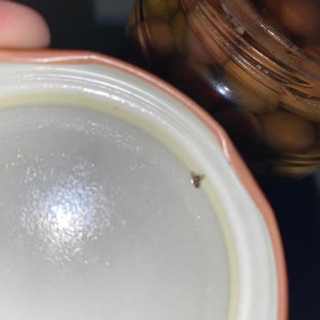 Ankara Keçiören BİM Şubesinde Ürünün Kapağında Sinek Görülmesi Ve İade Talebi