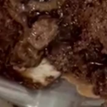 Haliç Fırını Pastasından Canlı Kurt Ve Saç Teli