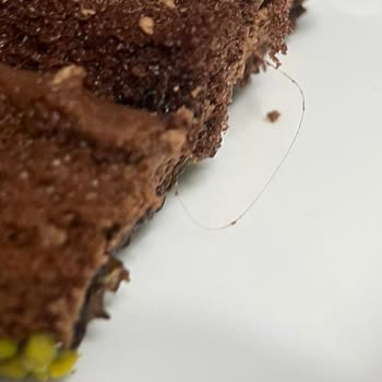 Haliç Fırını Pastasından Canlı Kurt Ve Saç Teli