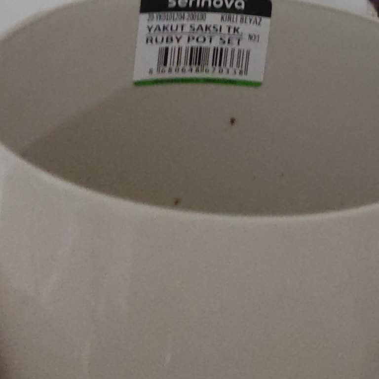 Çiçek Sepeti'nde Yanlış Ürün Gönderimi Ve Teslim Edilmeyen Yeniden Gönderim, İade Talebi