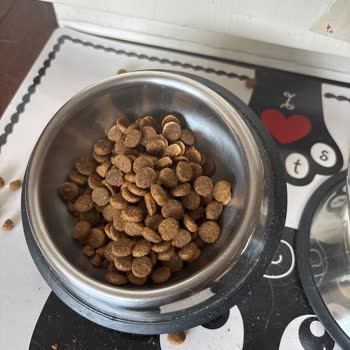 Bandrolsuz Orijinal Olmayan Kedi Maması Ve Cevapsız İletişim Nedeniyle İade Talebi