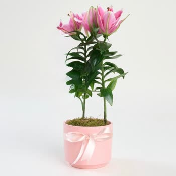 Beton Saksı Ücreti Alındı Ama Plastik Saksı Gönderildi, Ücret İadesi Talebi