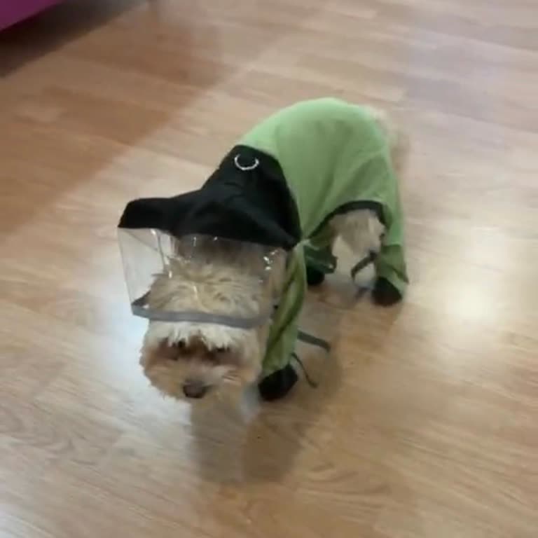 Yanıltıcı Beden Bilgileri Ve Haksız İade Reddi