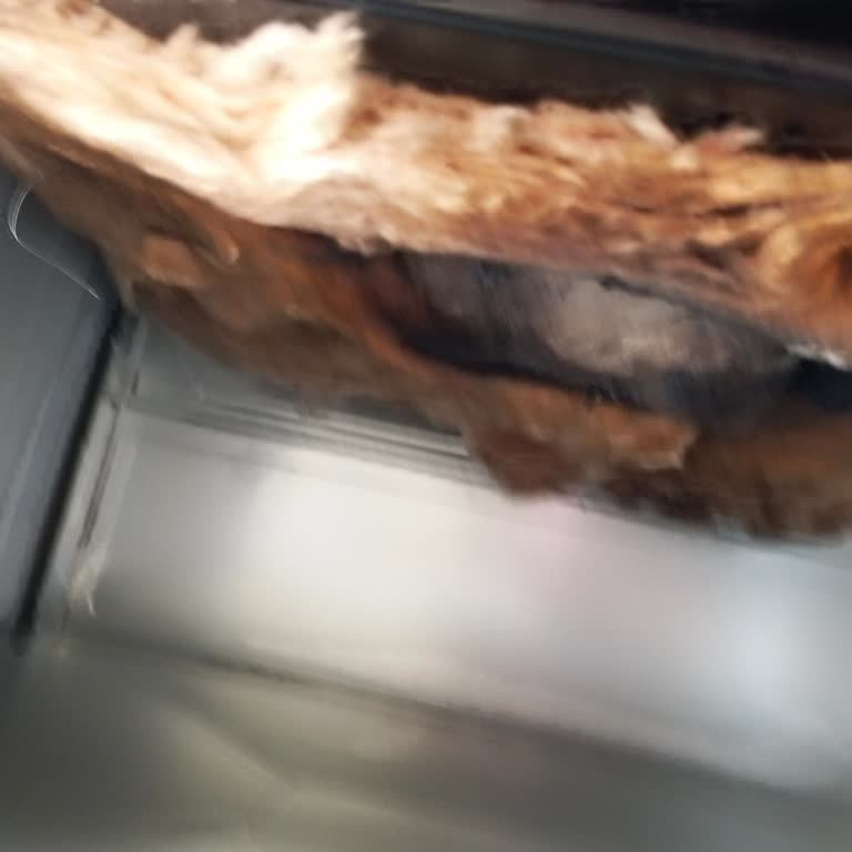 Vestel Fırın Yangın Riski Ve Garanti İhmaline Acil Değişim Talebi