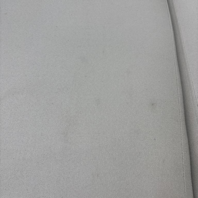 Arena Koltuk Takımında Leke Tutma Ve Çökme Sorunları