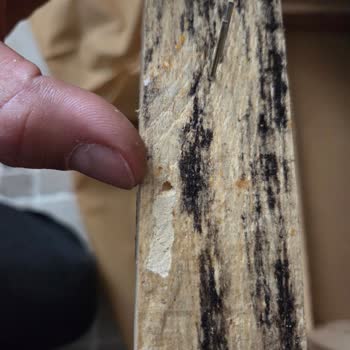 Vivense Frido Üçlü Koltukta Kalitesiz İç Malzeme Ve Böceklenme, Müşteri Hizmetlerinden Yanıt Yok