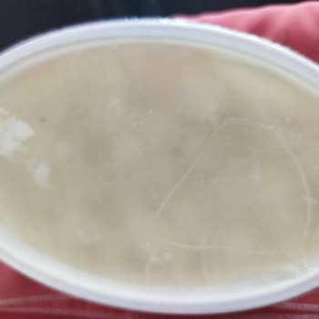 Kayacı Çiftliği Ekici Top Peynirinde Kapalı Pakette Küf