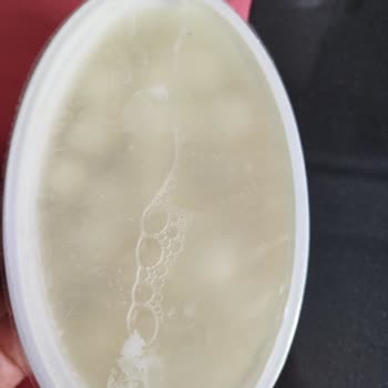 Küflü Top Peynirde Hijyen Sorunu Ve Değişim Talebi