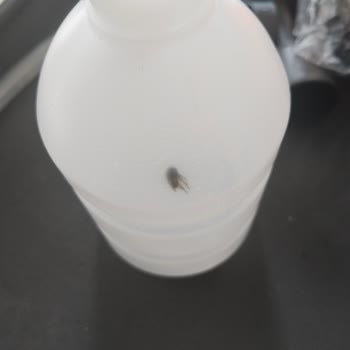 Kullanılmış Ve Hasarlı Oto Yıkama Makinesi Gönderildi, Ücret İadesi Talebi