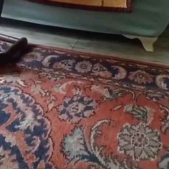 iyzico Benim Talebim Olmadan Para Çekildi!