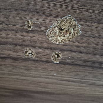 Alt Kısmı Düşen Konsol Ve Mağaza İlgisizliği