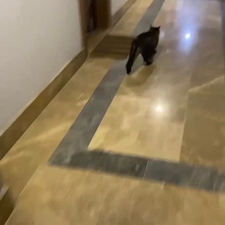 Helenium Wings Sitesi Aidat Zammı Şeffaf Değil, Hijyen Sorunu Çözülmüyor