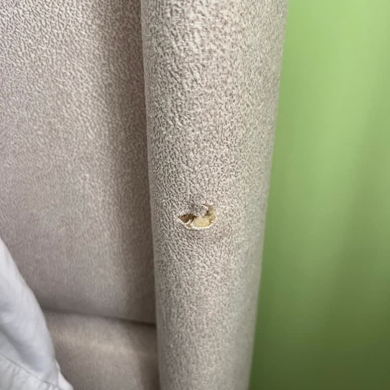 Teslimat Gecikmesi Ve Hasarlı Başlık İçin Acil Değişim Talebi