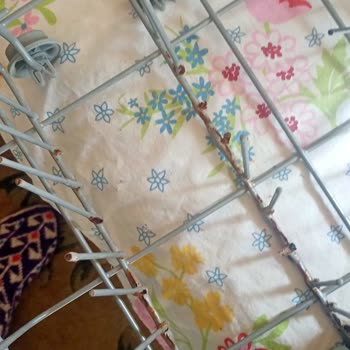 Arçelik Bulaşık Makinesinde Sepet Tellerinin Çürümesi