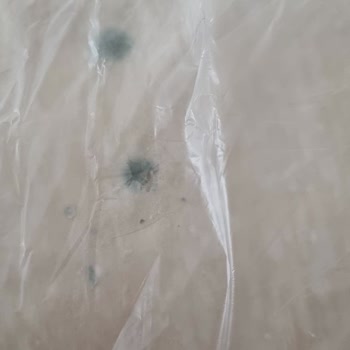 Küflü Yufka Ürününde Tekrarlayan Sorun Ve İade Talebi