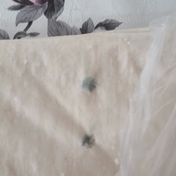 Küflü Yufka Ürününde Tekrarlayan Sorun Ve İade Talebi