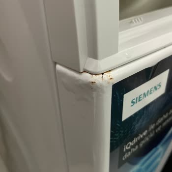 Siemens Çamaşır Makinesinde Deterjan Kapağı Çürümesi Ve Garanti Sonrası Şikayet