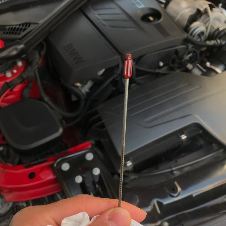 BMW 320i Sportline Yağ Çubuğu Ucunun Kırılması Ve Motor İçinde Kalan Parçanın Çıkarılması