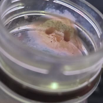 BİM Dost Pastörize Çikolatalı Sütte Küf Görüldü, Sağlık Endişesi