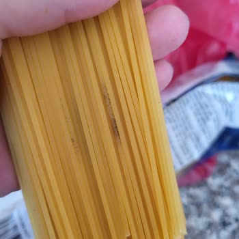 Nuh’un Ankara Makarnasında Siyah Noktalar Ve Hijyen Endişesi