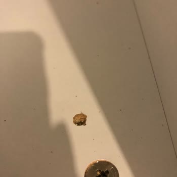 Ekolay Mutfak'ta Eksik Ve Hatalı Dolaplar, Uzayan Tamir Süreci