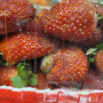 Küflü Çilek Satışı Ve Personelin Duyarsız Tutumu