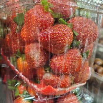 Küflü Çilek Satışı Ve Personelin Duyarsız Tutumu