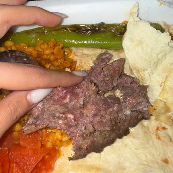 İade Talebi: Pişmemiş Kebap Ve Cevapsız Canlı Destek