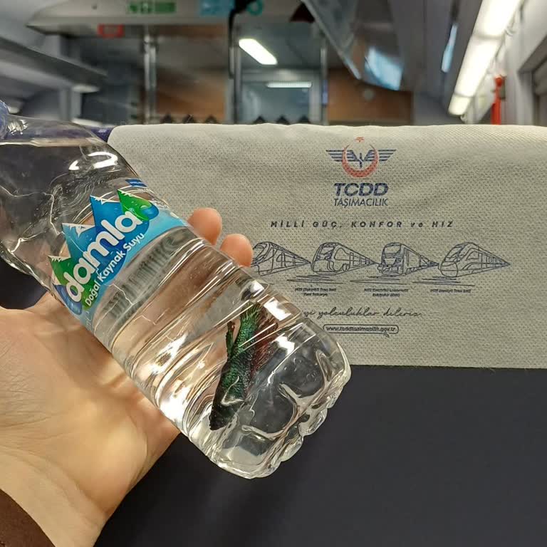 Eskişehir YHT Garı’nda TCDD Personelinin Hayvan Haklarını İhlali Ve Balığıma Şiddetli Muamele