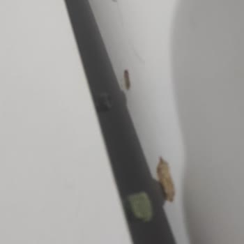 Yanlış Montaj Ve Kırılgan Mobilyalar Nedeniyle Yaşadığım Mağduriyet