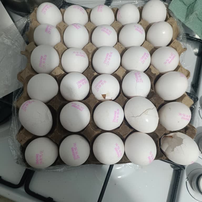 Geç Teslimat Ve Bozulabilir Ürünlerde Dikkatsizlik