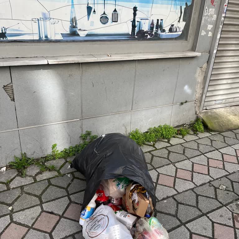 Sultangazi'de Kapı Önüne Çöp Atılmasının Engellenmesi Ve Uyarı Levhası Talebi