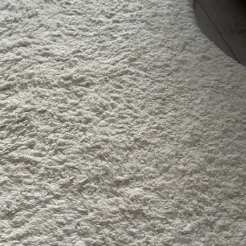 Bellona Mağazasından Aldığım Halılarda Ayıplı Ürün Ve İade Reddi