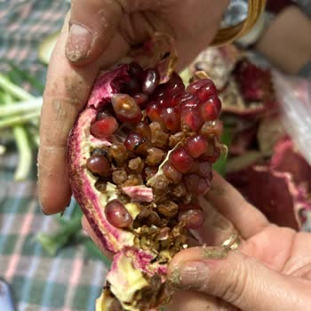 Fix Gros Eryaman Şubesinde Hamsi Temizlenmemesi, Tartım Hatası Ve Çürük Narlar Nedeniyle İade Talebi