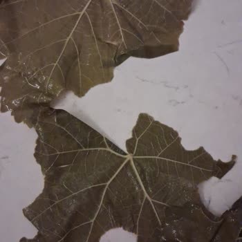 Kalitesiz Ve Yırtık Yapraklar Nedeniyle İade Reddi Ve Ücret İadesi Talebi