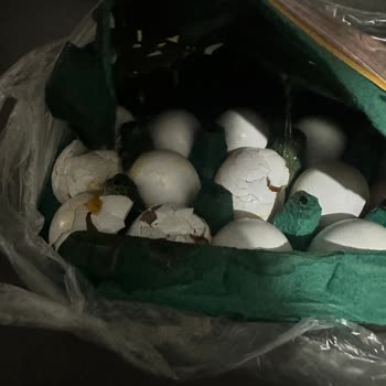 Ramazan Sahurunda Gelen Kırık Yumurtalar İçin Acil Değişim Talebi