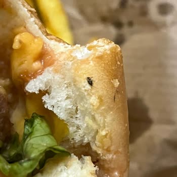 Bağ Kafe Demirkapı Hamburgerden Böcek Çıktı