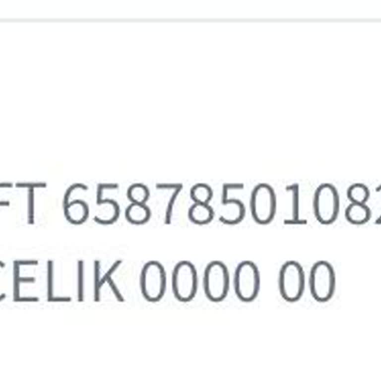 Halkbank Sakarya Şubesinde İzinsiz 1.000 TL İşleminin Hızlı Araştırılması Ve İadesi Talebi