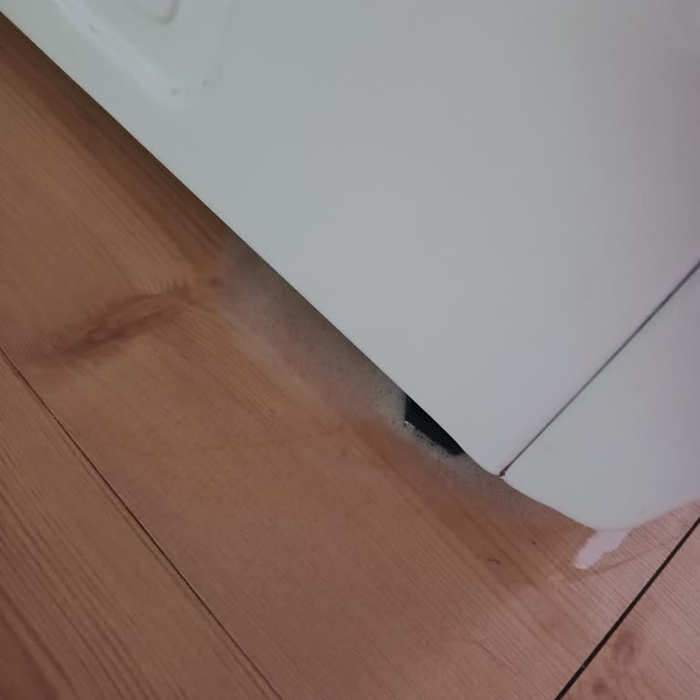 Vestel Çamaşır Ve Bulaşık Makinelerinde Sürekli Gürültü Ve Arıza, Servis Sorunları Ve İade Talebi