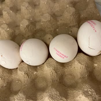 Avcılar BİM Şubesinde 30'lu Yumurta Paketi İçinde Kırık Yumurta