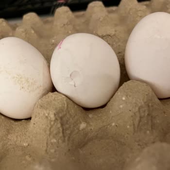 Avcılar BİM Şubesinde 30'lu Yumurta Paketi İçinde Kırık Yumurta