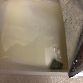 Bozulmamış Tarihli Üründe Küf Sorunu