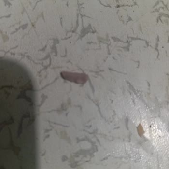 BİM Polatlı'dan Tombik Sosis'te Sert Yabancı Madde Ve Diş Hasarı